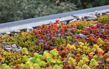 the cost of Effingham green roof installation