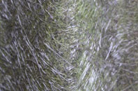 Effingham fibreglass roof work